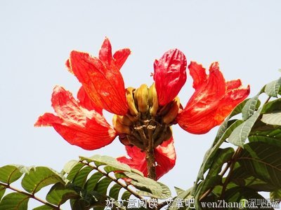 火火| 等我优秀，不爱还是不爱