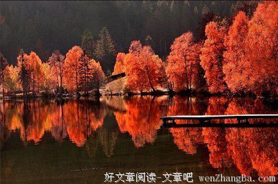 最美咏秋词：一叶落知天下秋