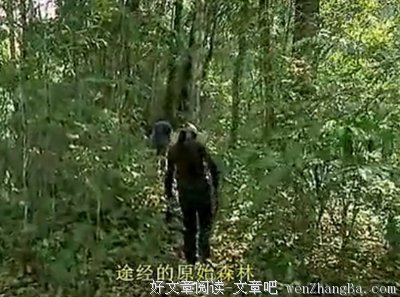 我在行走