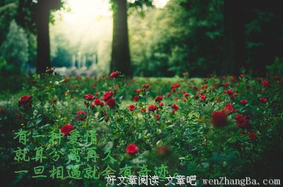 最新的匪我思存经典句子