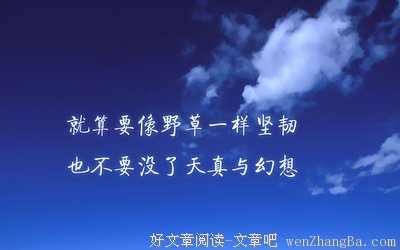 描写公诸于世的经典句子