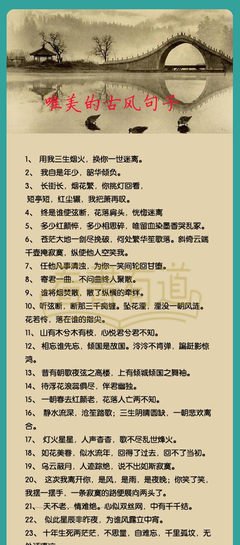 关于便便的唯美语录