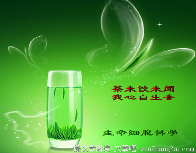 15条关于用心的经典语句