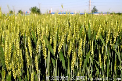 民以食为天格言警句