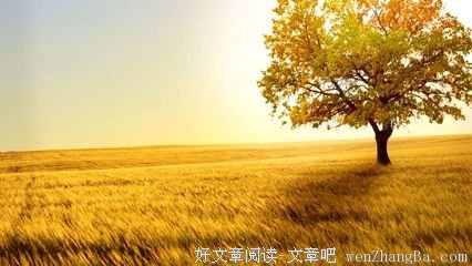 最经典的《品句子》经典句子