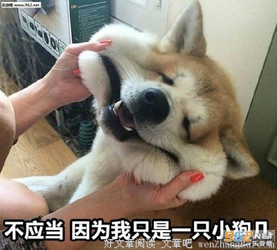 “不应当啊，我只是一只小猫咪呀。”