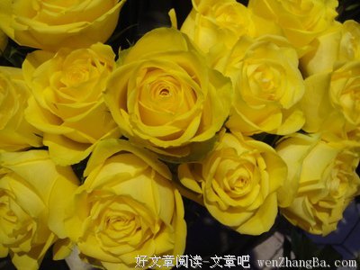 一个人在乎你，首先他一定不会欺骗你