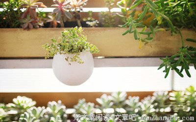 畅所欲言的句子
