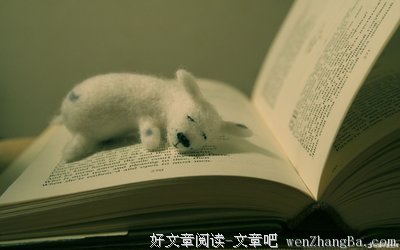 最全的《海边的卡夫卡》名句欣赏