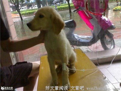 便便格言警句