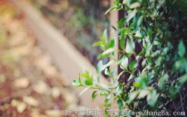 被动的名人名言