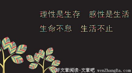 最经典的《浮光》小说摘抄大全