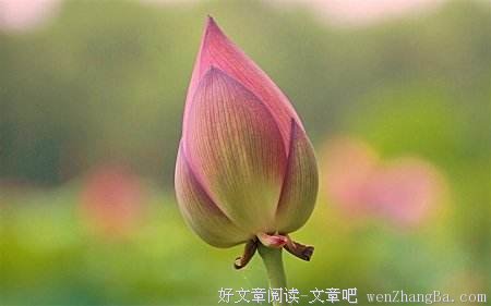 伟大都是熬出来的
