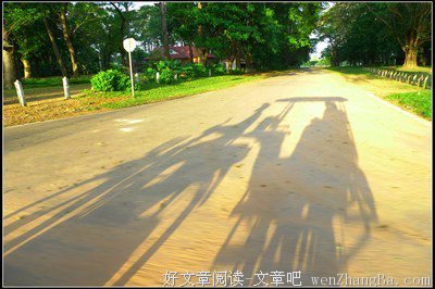 《岁月静好 现世安稳》小说句子