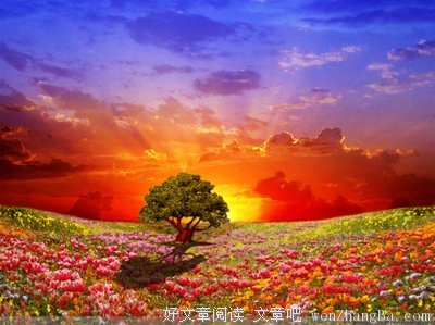 《一厘米的阳光》经典名句
