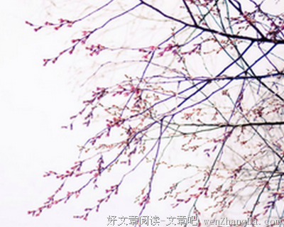 接踵而来的句子