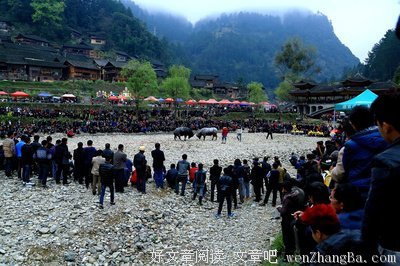 安逸的语句摘抄_关于安逸的语句