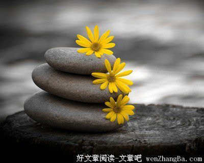 当我拥有你时，我便拥有痛苦