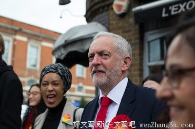 谁在为英国投票？丨单读