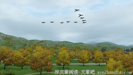 生活太重，让我先飞一会儿