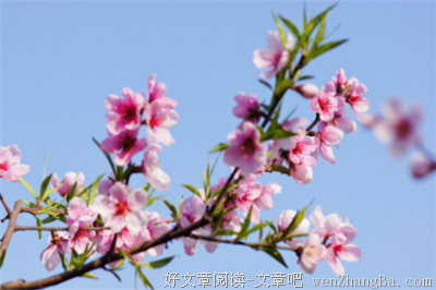 占卜桃花运：最近三个月会有人追你吗？