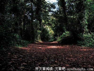 赠书 | 日子和我，都有点难过