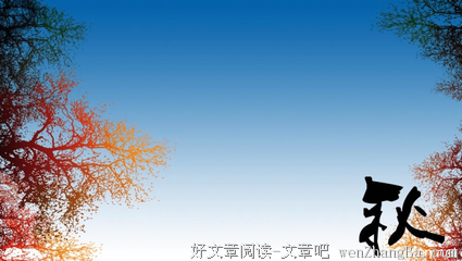 描写小马的语句摘抄