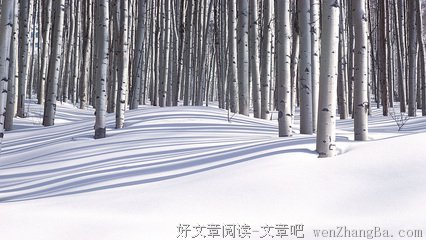 别具一格的句子