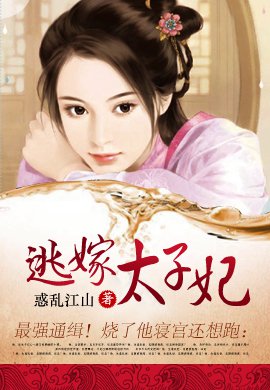 《报告摄政王之太子要纳妃》小说书摘