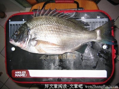 一家之言的句子