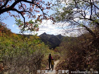 南飞雁的语句摘抄_关于南飞雁的语句