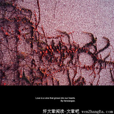 关于小高的格言