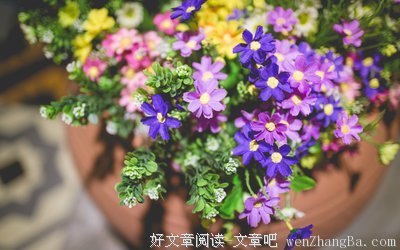 时光清浅，秋意阑珊