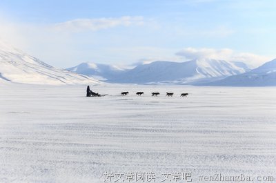 星观点 | 十二星座究竟在焦虑什么