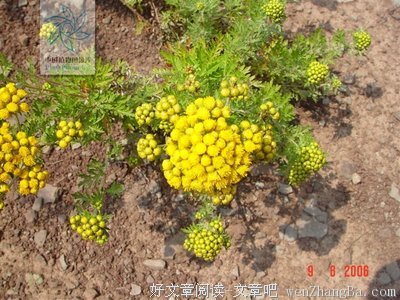 《修女艾达》影评10篇