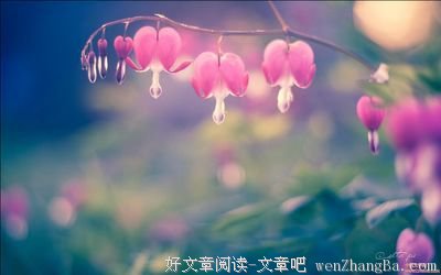 描写蝇营狗苟的语句摘抄