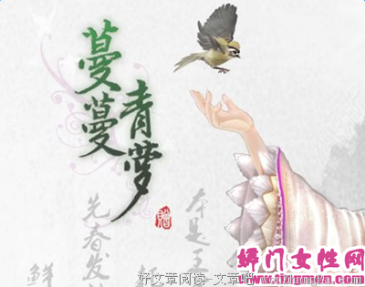 最经典的《蔓蔓青萝》语录摘抄