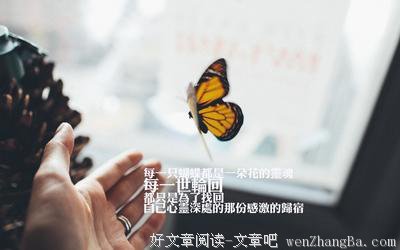 关于万苦的唯美语录