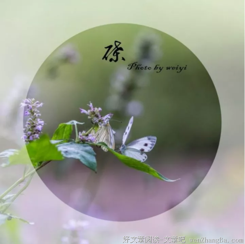 感谢生命中的那些相逢