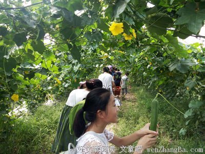 非要等到最后一刻，你才知道你爱我？