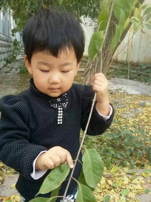 如果要给孩子讲“致敬生命”的绘本，我选它