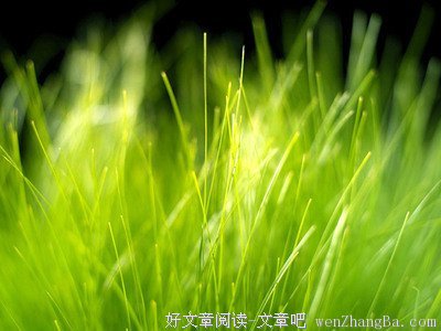 举目四望的名言_关于举目四望的名言