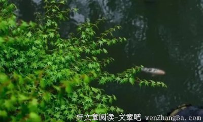 关于振聋发聩的格言