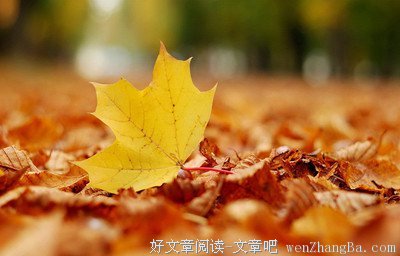 描写空无一人的经典句子