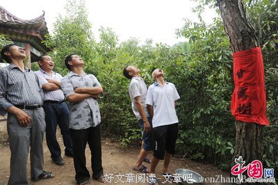 最全的晴天、名言名句