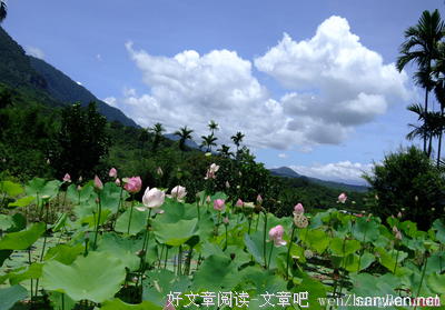 最经典的《大地之灯》好段摘抄