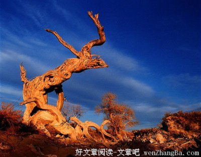 最全的《谢谢你离开我》经典名句大全