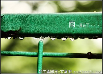 雨一直在下