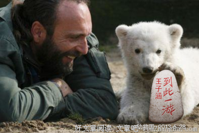 “纯友谊”
