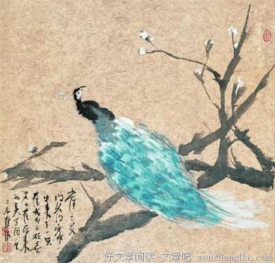 倪 萍 近况 曝光 ，生活居然如此淒慘！